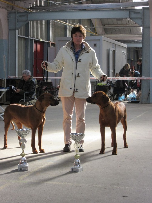 des prouillacs - CACS et CACIB à l'exposition de NIORT