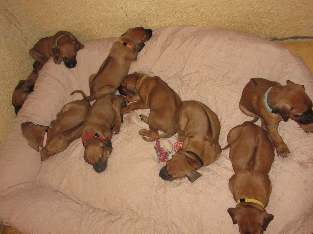 NAISSANCES PRÉVUES POUR FIN OCTOBRE 2025